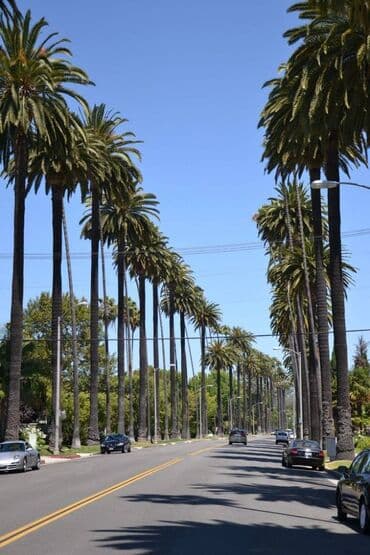 turbo az ford transit 16 1: Bakı, 1 otaqlı, Köhnə tikili, 33 kv. m — 12