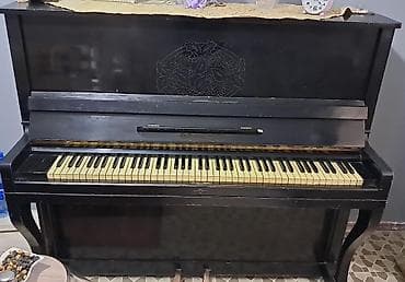 Klavişli alətlər: Piano, Akustik — 1