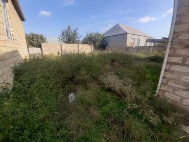 qobuda torpaq satilir 2025: 2 sot, Tikinti, Mülkiyyətçi, Bələdiyyə — 4