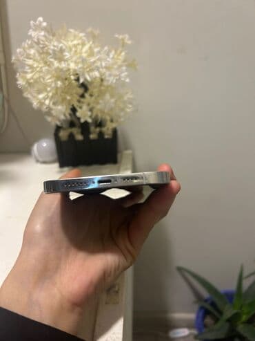 iphone 6 16gb: IPhone 12 Pro Max, 128 GB, Face ID — 2