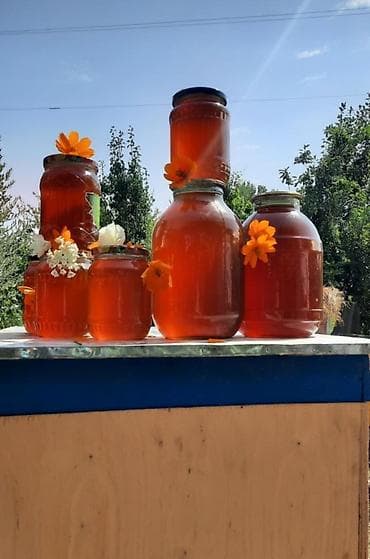 şanlı bal: Təbii arı balı – müxtəlif qablaşdırmalarda Məhsul təsviri: - Yeni — 1