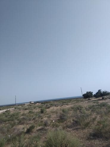 Tikinti