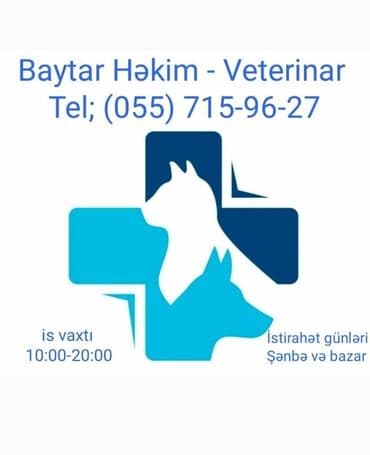 вызов ветеринара на дом: Ветеринар-Baytar Hekim Müayinə,müalicə xidməti və arayışların — 1