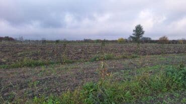 120 sot, Kənd təsərrüfatı