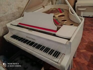 terlan elekberov: Royal! Köklənib kamertondadı! Cadırılma və köklənmə pulsuzdu — 2