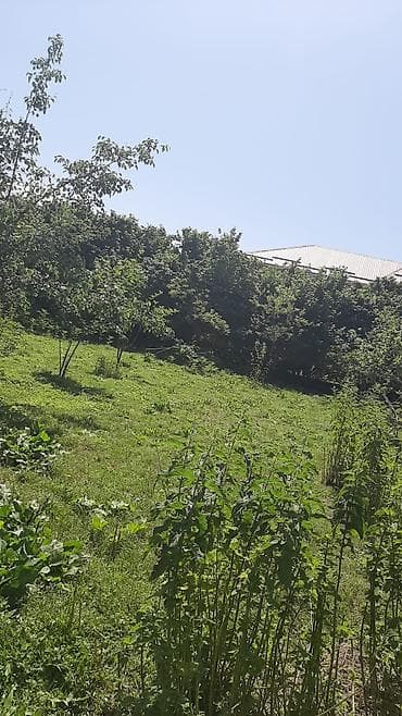 Daşınmaz əmlak: 3 otaqlı, 2000 kv. m, Kredit yoxdur, Təmirsiz — 5