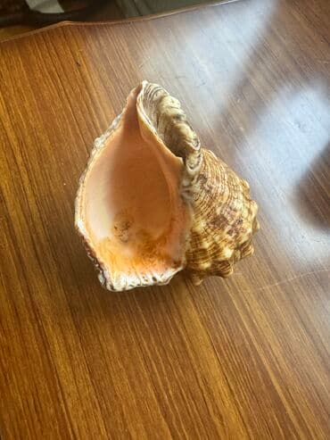 говорящие мягкие игрушки: Rakuşka — 5