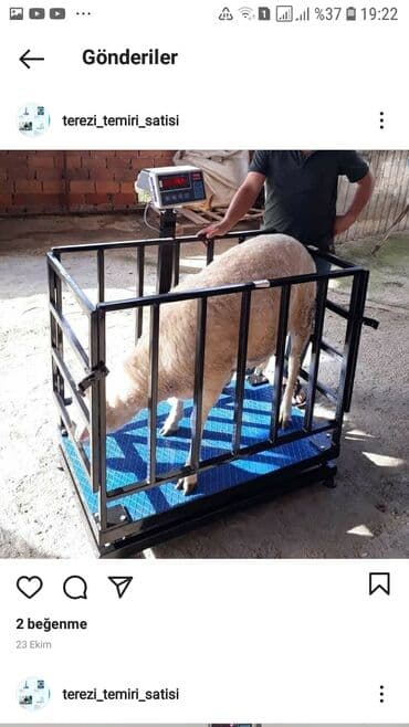 морозильная камера для мороженого бу: Terezi temiri satış var — 6