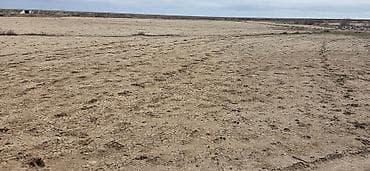 astara rayon: 12 sot, Mülkiyyətçi, Kupça (Çıxarış) — 6