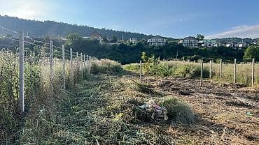 nardaran lahic baglari: 13 sot, Biznes üçün, Makler, Kupça (Çıxarış) — 2