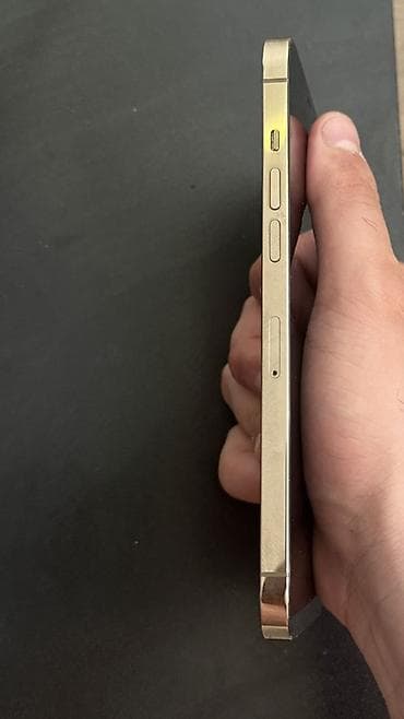 iphon 6 plus: IPhone 12 Pro, 256 GB, Qızılı, Simsiz şarj, Face ID — 4