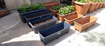 zeynep bastık baku: Dibcek qabi dibcek qablari gul qabi gul qablari bag ucun dibcek — 1