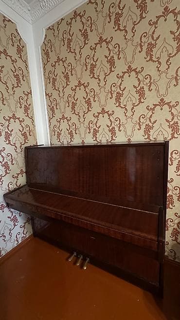 gitara ucun pedal: Piano, Belarus, Akustik, İşlənmiş, Ünvandan götürmə — 1