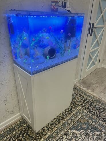 Gəmiricilər: Akvarium-şkaf, Balıqlarla birlikdə, 90 l, Ödənişli çatdırılma — 2