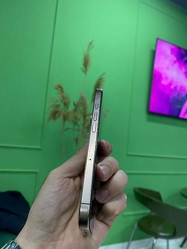 apple saatı: IPhone 16 Pro, 1 TB, Natural Titanium, Face ID — 4