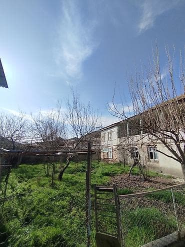 ucuz heyet evi: Ikimərtəbəli həyət evi və geniş torpaq sahəsi 6 sot 1 sot 120.000 — 7