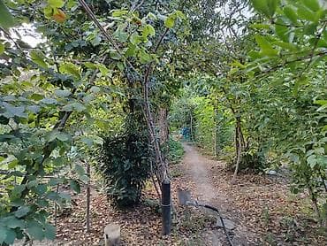 кредит: Хачмаз, 120 м², 4 комнаты, Без бассейна, Водопровод — 4