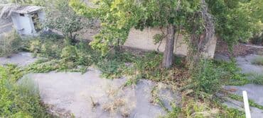 ucar: 30 sot, Biznes üçün, Mülkiyyətçi, Kupça (Çıxarış) — 12