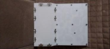 Qarisqa fermasi (Queen ant Markali) Ela veziyyetdedir, cat ve zedesi — 5