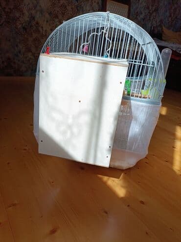 купить клетку для морской свинки: Dalmatin (nimfa/budaq) xoruz-quş qəfəsləri və aksesuarları dəsti — 5