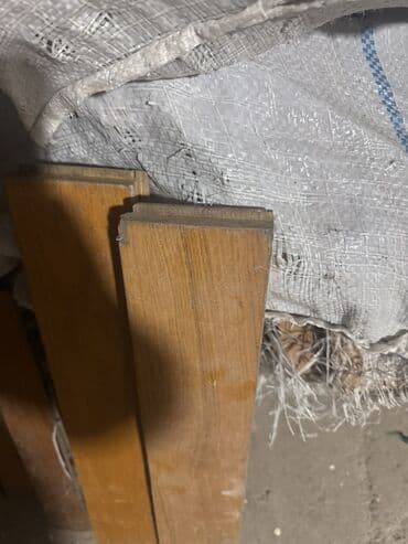 Комнатные растения: Parket ünvan masazır — 3