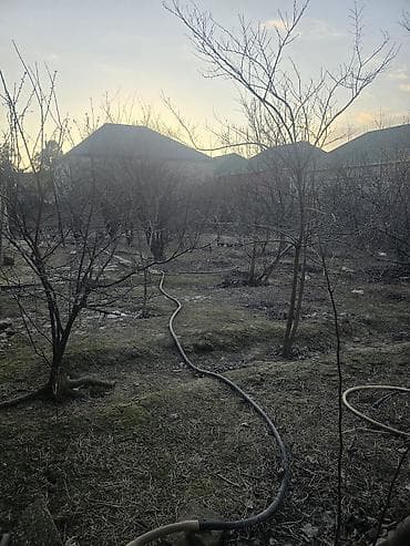 100 kv: 16 sot, Kənd təsərrüfatı, Mülkiyyətçi — 10