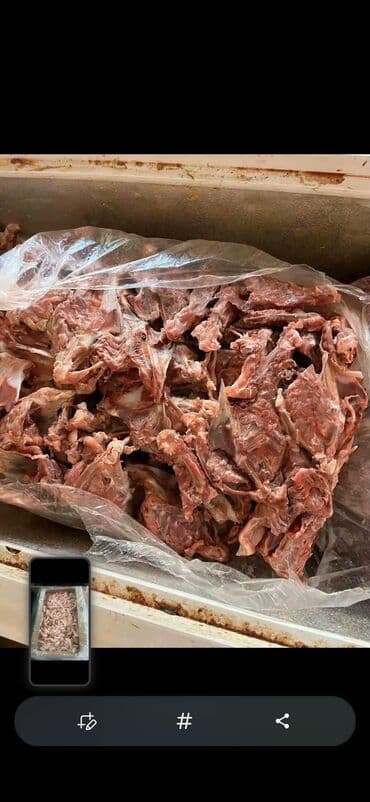 Мясо: Toyuq cəsədi və hissələri. Təzə kəsilmiş və soyudulmuş toyuq — 3