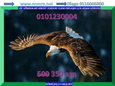 телефоны нокиа в баку цены: Nömrə: ( 010 ) ( 1230004 ) — 1