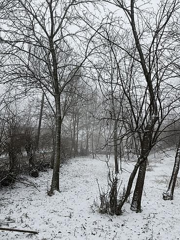 Гаражи: Купчая — 2