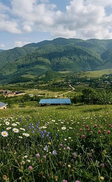 zigda heyet evleri 2026: 20 sot, Biznes üçün, Barter mümkündür, Kupça (Çıxarış) — 3