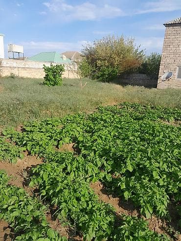 ramani torpaq satisi: 10 sot, Tikinti, Mülkiyyətçi, Kupça (Çıxarış) — 7