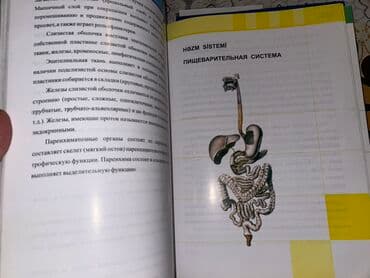 atlas koynekler: Məhsul: “İnsan Anatomiyası Atlası” – 3-cü nəşr - Müəlliflər: V.B — 7