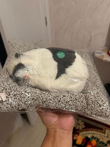 mazda 6 ehtiyat hisseleri: Maşın aksesuarlarına aid bir çox şeylər var hamsn bir bir çekib — 2