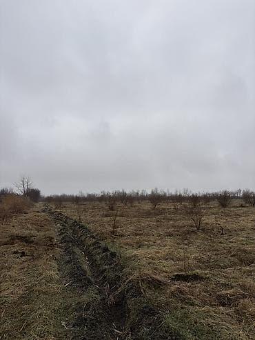 4 mikrorayon kiraye evler: Kənd təsərrüfatı, Kupça (Çıxarış) — 7