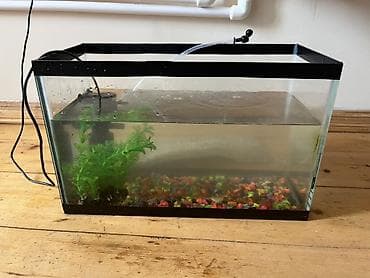 Şüşə akvarium dəsti - Düzbucaqlı şüşə akvarium, üst və alt hissəsi