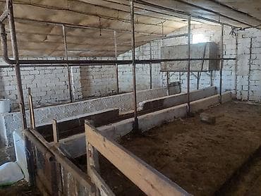 arenda donər evi: Mal-qaranın saxlanması üçün hazır ferma/binə kompleksi - Daş divarlı — 1