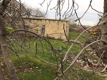 5 sot nece metrdir: 7 sot, Makler, Kupça (Çıxarış) — 7