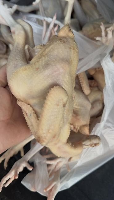 bal arısı satışı: Məhsul: Təmizlənmiş bıldırcın/quzu boyda xırda toyuq karkasları — 1