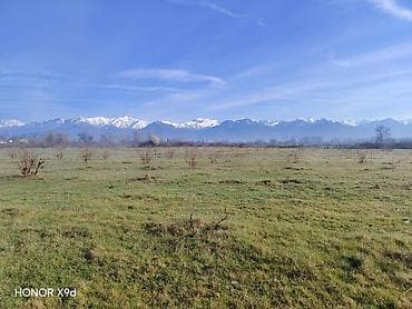 qebele torpaq: 30 sot, Kənd təsərrüfatı, Mülkiyyətçi, Texniki pasport — 1