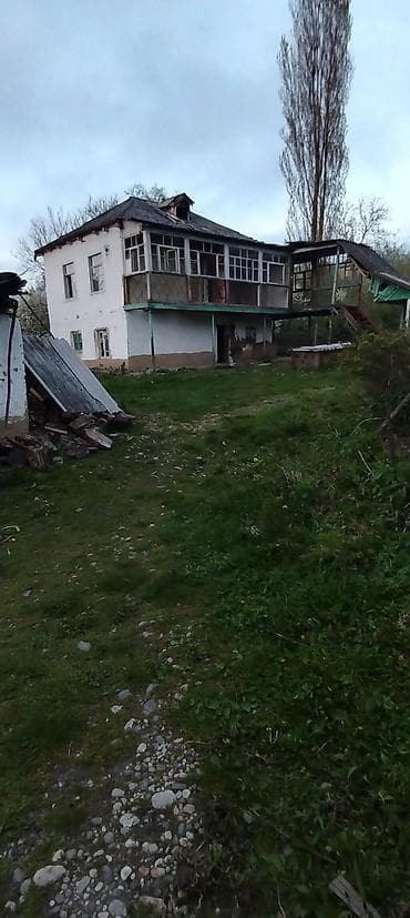 dubendi baglari torpaq: Satış üçün: həyətyanı torpag - Sahədə müxtəlif kol və meyvə ağacları - — 4