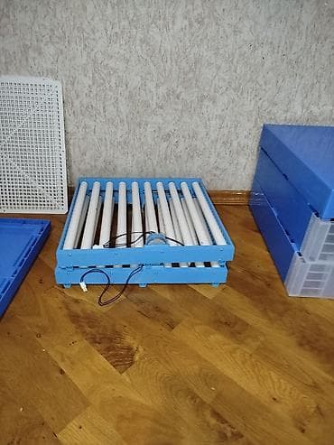 12v adapter: 128 yumurta tutumlu inkubator. 3 dəfə istifadə olunub 128 yumurtadan — 6