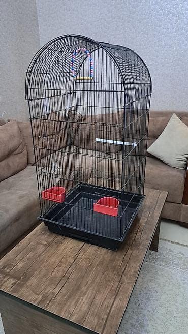 Qəfəs böyik qəfəsdir hündirliyi 90 sm — 3
