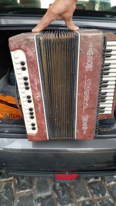 akkardion: Akustik Akkordeon — 1