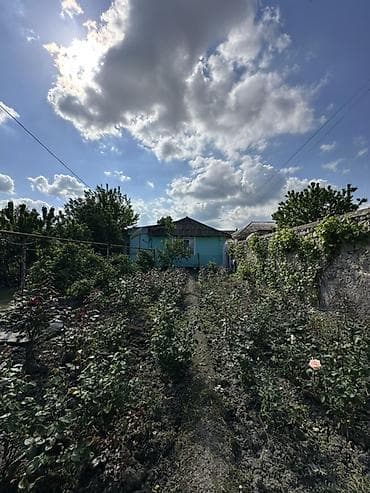 bine savxozda satilan heyet evleri: 18 sot torpağ tam satılırhissə -hissədə satılır razılaşma yolu ilə — 4