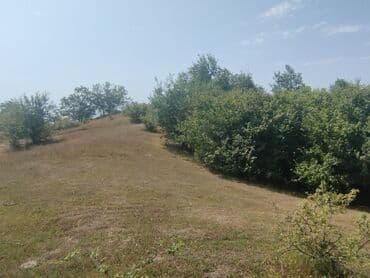 makler gence: 27 sot, Kənd təsərrüfatı, Maklerlər narahat etməsin, Kupça (Çıxarış) — 1