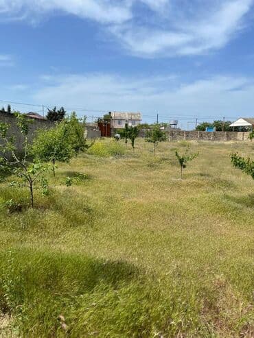 türkanda torpaq: 14 sot, Tikinti, Makler, Kupça (Çıxarış) — 5