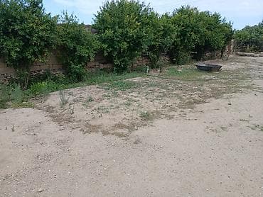 Torpaq sahələrinin satışı: 17 sot, Kənd təsərrüfatı, Kupça (Çıxarış) — 1