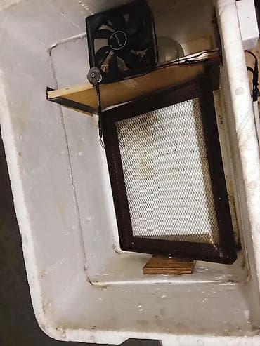 İstehsal avadanlığı: 100 yumurta, Bütün növ quşlaq üçün — 4