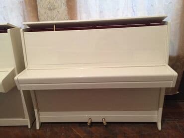 piano petrov: Pianino PETROF Cexya stehsalı. Ideal vəziyyədə. Cadırılma və köklənmə — 4