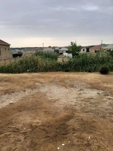 6 sot, Tikinti, Mülkiyyətçi, Kupça (Çıxarış)